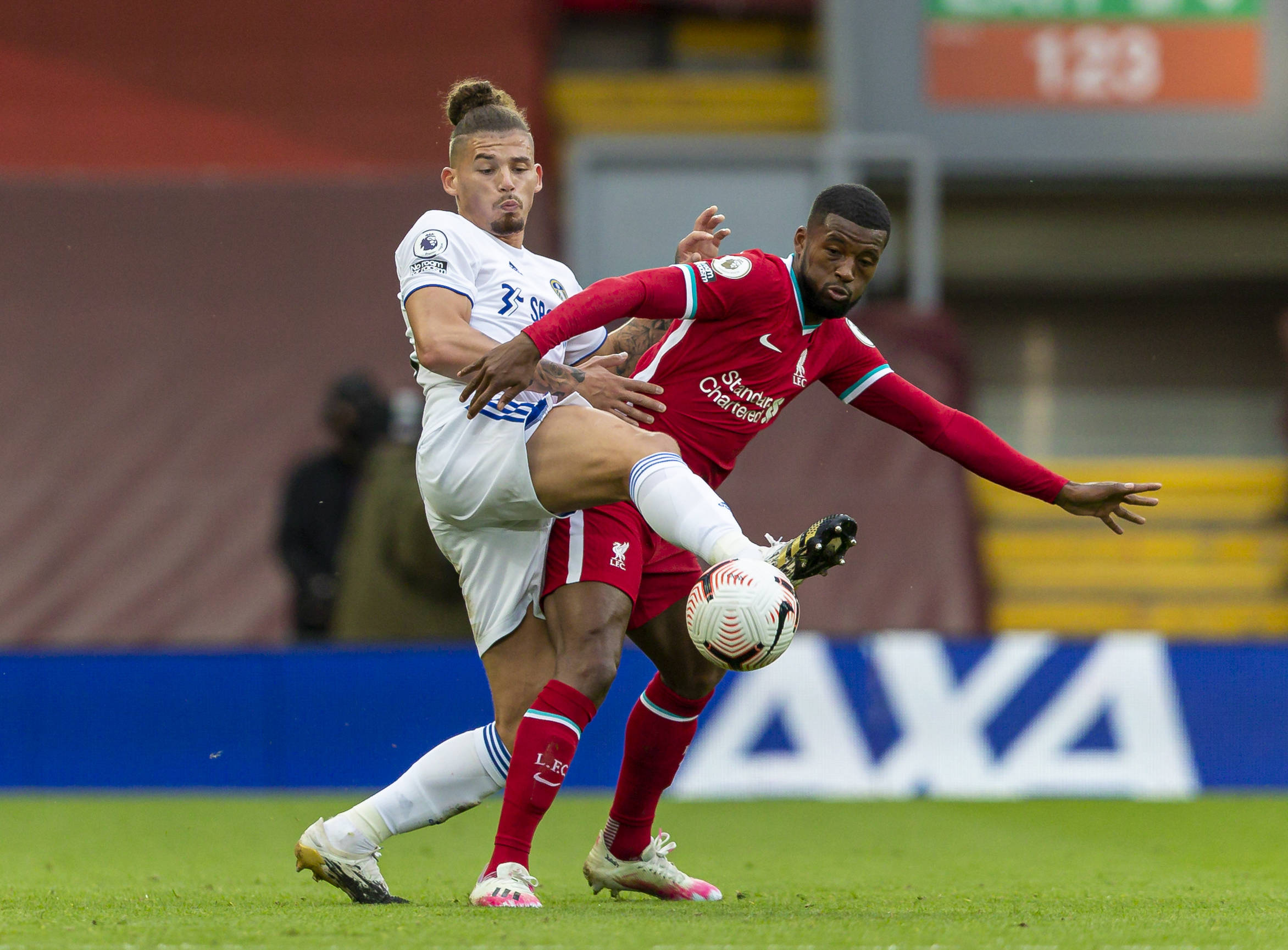 了球迷的热 了球迷的热